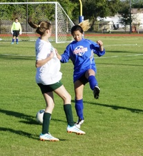 Enlarge photo 113