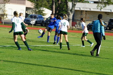 Enlarge photo 122