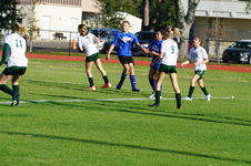 Enlarge photo 125