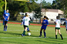 Enlarge photo 128