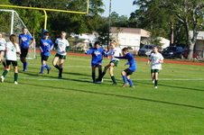 Enlarge photo 133