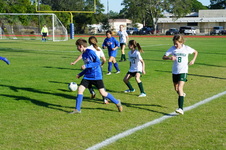 Enlarge photo 153