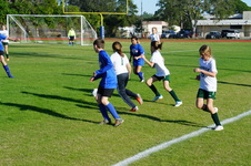 Enlarge photo 154