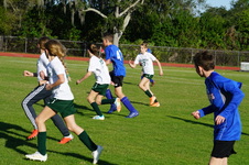 Enlarge photo 156