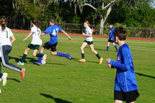 Enlarge photo 157