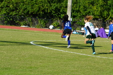 Enlarge photo 161