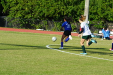 Enlarge photo 160