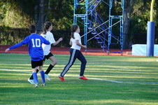 Enlarge photo 216