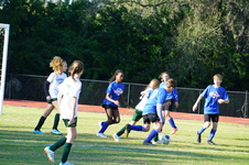 Enlarge photo 222