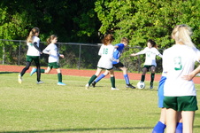 Enlarge photo 225