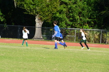Enlarge photo 231