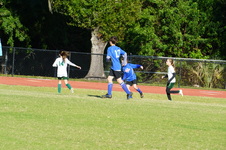 Enlarge photo 230