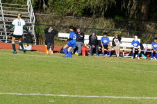 Enlarge photo 234