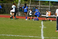 Enlarge photo 239