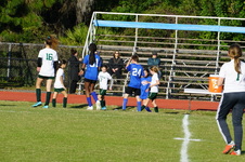 Enlarge photo 241