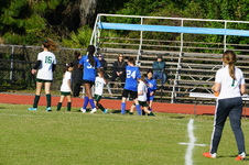 Enlarge photo 242