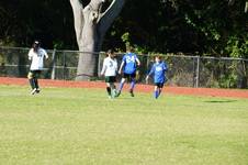 Enlarge photo 257