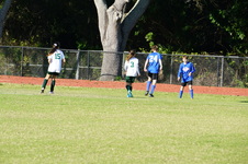 Enlarge photo 258