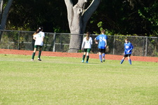 Enlarge photo 259