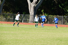 Enlarge photo 260
