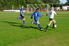 Enlarge photo 273