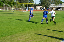 Enlarge photo 275