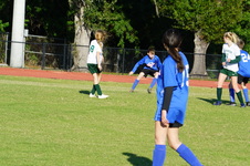 Enlarge photo 281