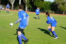 Enlarge photo 315