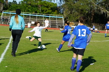 Enlarge photo 317