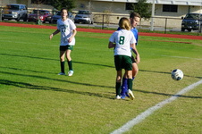 Enlarge photo 329