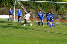 Enlarge photo 334