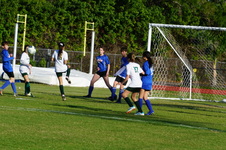 Enlarge photo 342