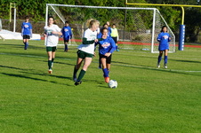 Enlarge photo 344