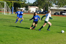 Enlarge photo 347