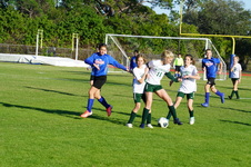Enlarge photo 359