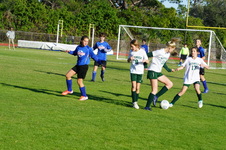 Enlarge photo 361