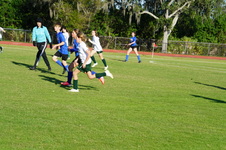 Enlarge photo 363