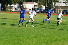 Enlarge photo 371