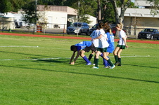 Enlarge photo 375