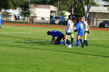 Enlarge photo 374