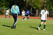 Enlarge photo 390