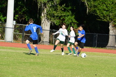 Enlarge photo 395