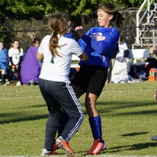 Enlarge photo 398