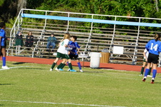 Enlarge photo 447