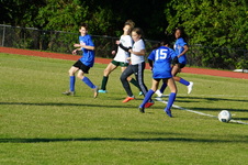 Enlarge photo 459