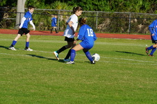 Enlarge photo 468