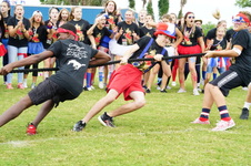 Enlarge photo 45