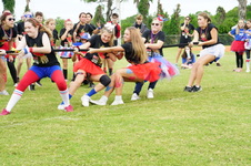 Enlarge photo 71