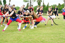Enlarge photo 74