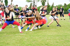 Enlarge photo 75